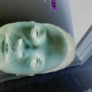 Meet your Posher, Shady